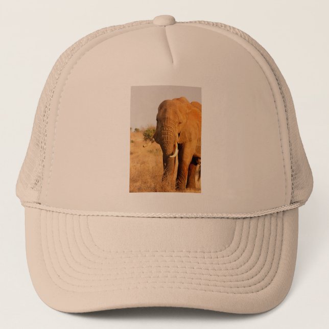 Elephants Trucker Hat (Front)
