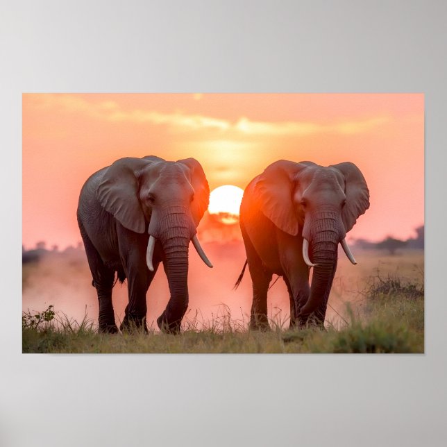 Elephants Walking in Sunset Poster (Front)