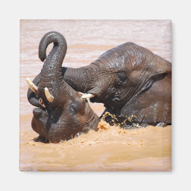 Elephants water world magnet (Front)