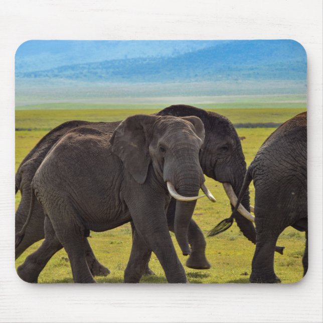 Elephants, Wildlife, Nature Mouse Pad (Front)