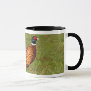 Elevate Your Beverage Experience with Our Cups