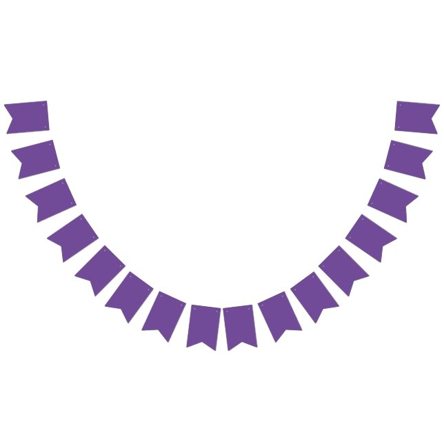 Elevate Your Parties with Vibrant Bunting Banners  (All)