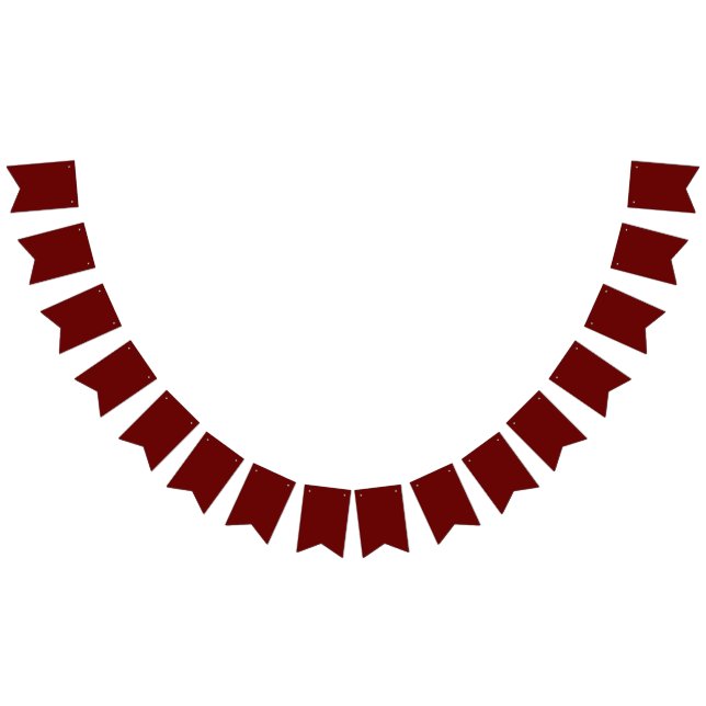 Elevate Your Parties with Vibrant Bunting Banners  (All)