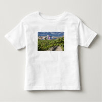 Elevated town view and Hotel Marques de Riscal