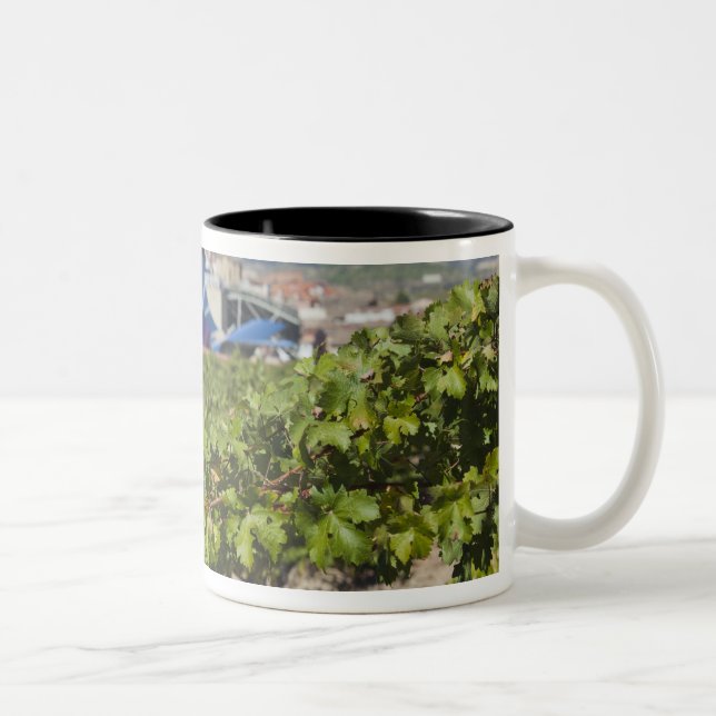 Elevated town view and Hotel Marques de Riscal Two-Tone Coffee Mug (Right)
