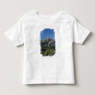 Elevated town view with the Segovia Cathedral Toddler T-Shirt