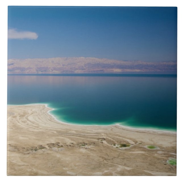 Elevated view of the Dead Sea Ceramic Tile (Front)