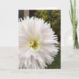 Elf Dahlia Card