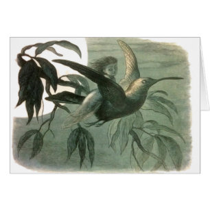 Elf Fairies Elves Moon Night Scene Bird Flying 