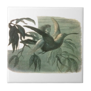 Elf Fairies Elves Moon Night Scene Bird Flying Ceramic Tile