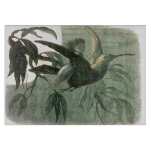 Elf Fairies Elves Moon Night Scene Bird Flying Cutting Board