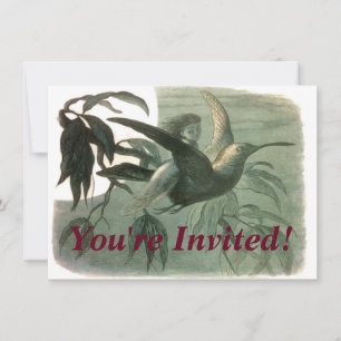 Elf Fairies Elves Moon Night Scene Bird Flying  Invitation