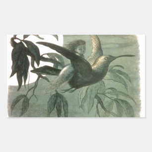 Elf Fairies Elves Moon Night Scene Bird Flying  Rectangular Sticker
