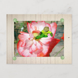 Elf im Mohn Postcard