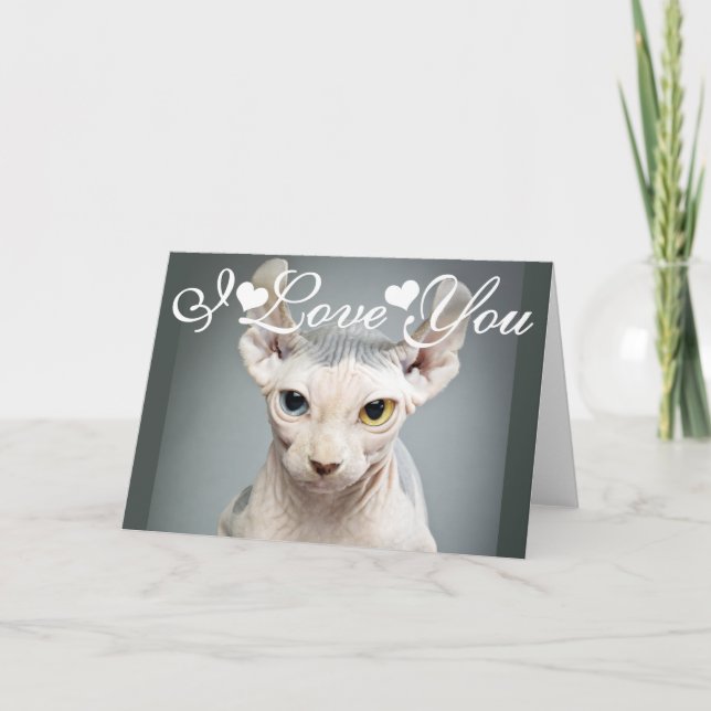 Elf Sphinx Cat Photo Image I Love You Holiday Card (Front)