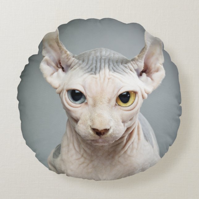 Elf Sphinx Cat Photograph Image Round Cushion (Front)