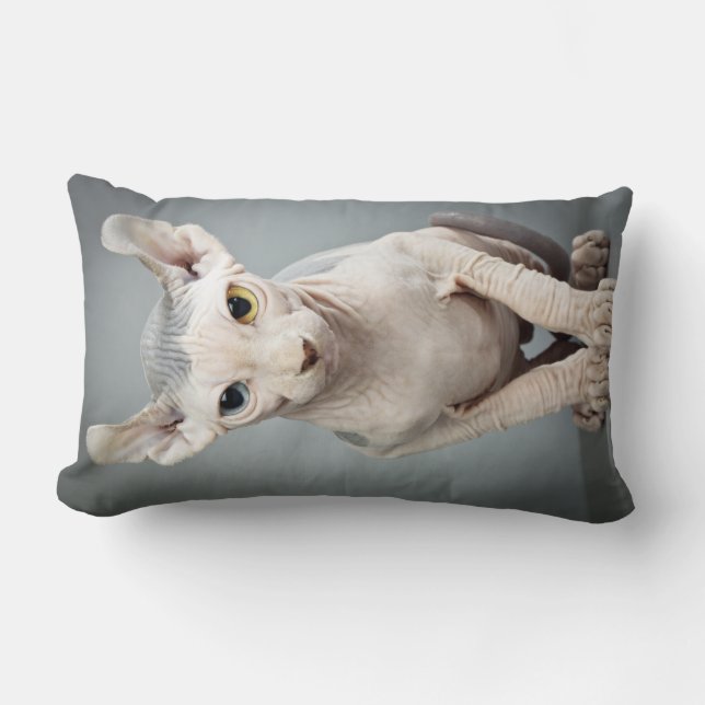 Elf Sphinx Cat Photograph Lumbar Cushion (Front)