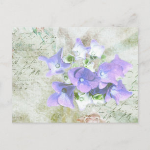 Elfenbrief Postcard