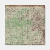 Elgin Illinois 1870 Plat Map Fox River Downtown