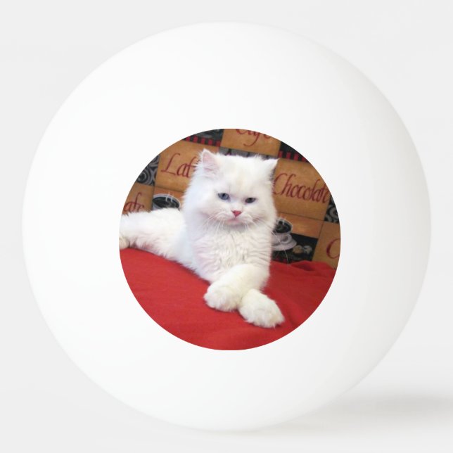 Eli - Persian Cat  Ping Pong Ball (Back)