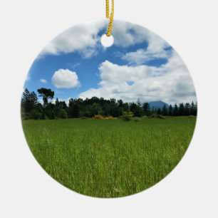 Elijah Bristow State Park, Dexter, Oregon Ceramic Ornament