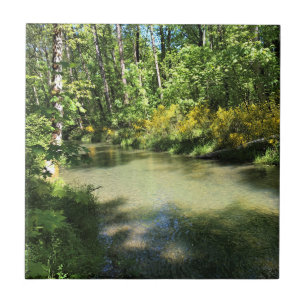 Elijah Bristow State Park, Dexter, Oregon Ceramic Tile