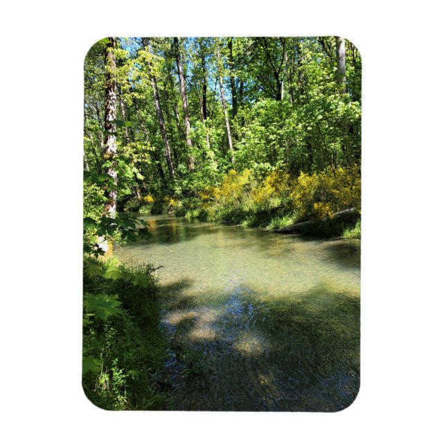 Elijah Bristow State Park, Dexter, Oregon Magnet (Vertical)