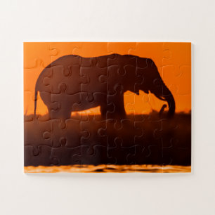 Eliphant Grazing at Sunset Jigsaw Puzzle