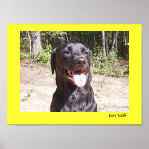 Elise 2006 poster