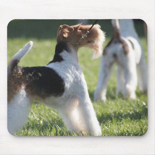 Eliza Mousepad (Front)