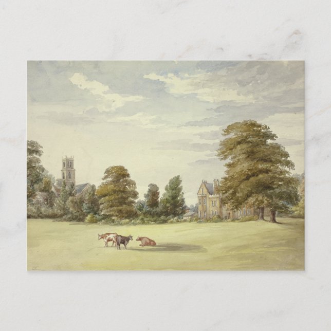 Elizabeth Murray - Cows before Manor House and Postcard (Front)