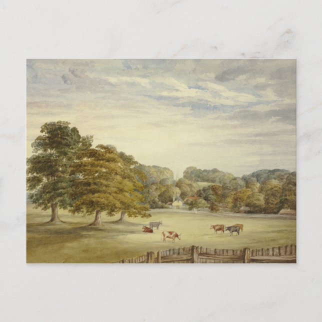 Elizabeth Murray - Six Cows Grazing before Country Postcard (Front)
