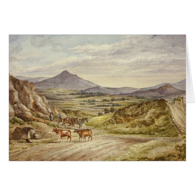 Elizabeth Murray - Wicklow Hills (Front Horizontal)