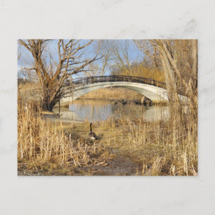 Elizabeth Park, Trenton, Michigan Postcard