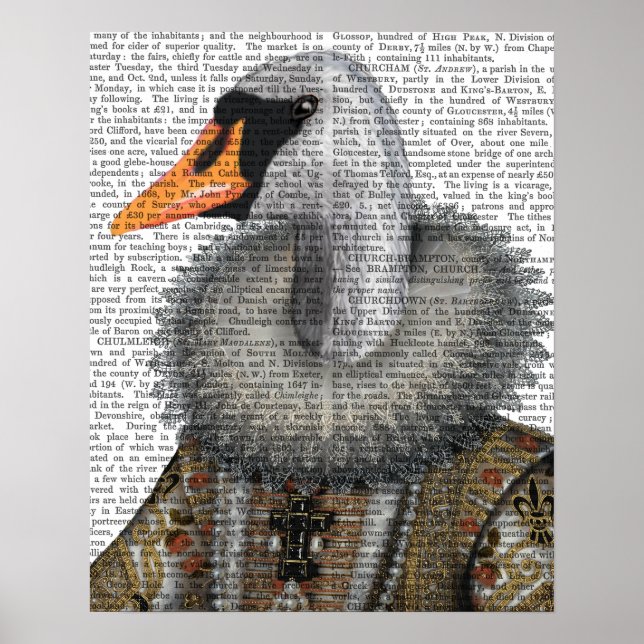 Elizabethan Swan Poster (Front)