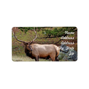 Elk Address Sticker