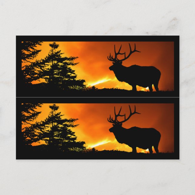 Elk and Forest Fire Book markers Postcard (Front)