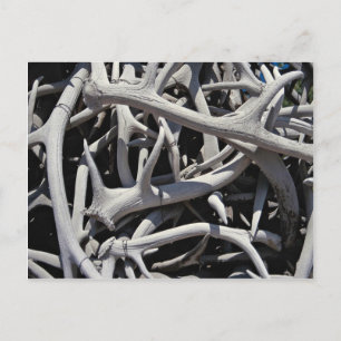 Elk antlers, Central Square, Jackson, Wyoming, U.S Postcard
