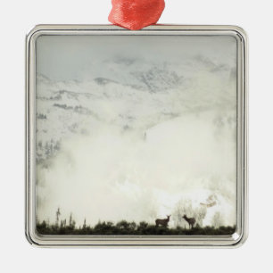 Elk at Grand Teton National Park Photography Metal Tree Decoration