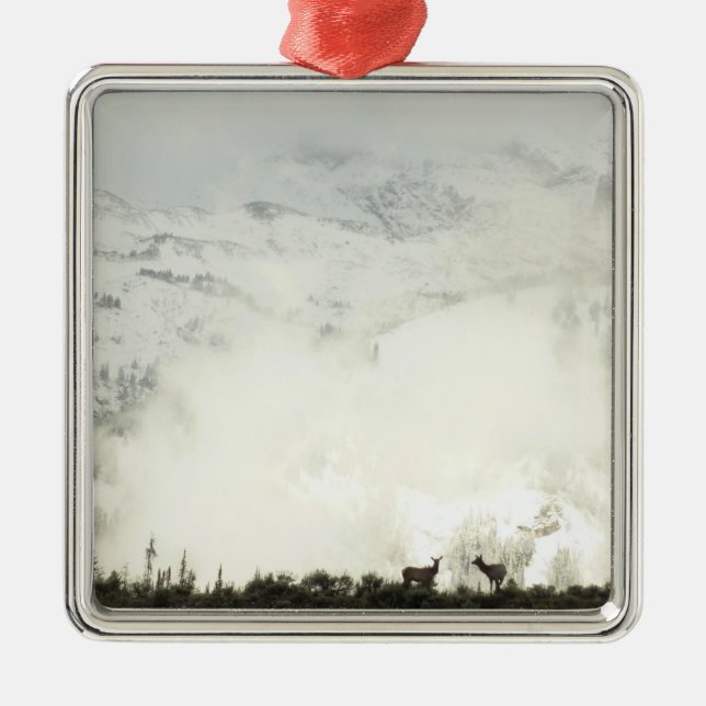 Elk at Grand Teton National Park Photography Metal Tree Decoration (Front)