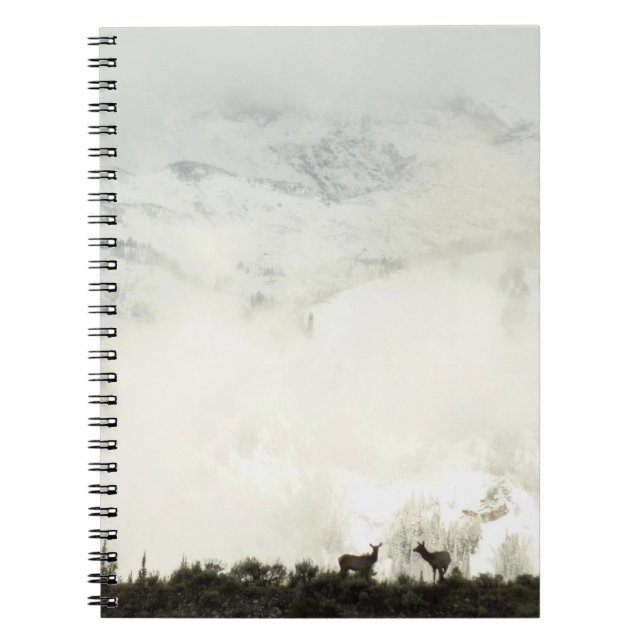 Elk at Grand Teton National Park Photography Notebook (Front)