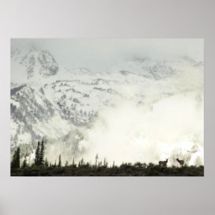 Elk at Grand Teton National Park Photography Poster