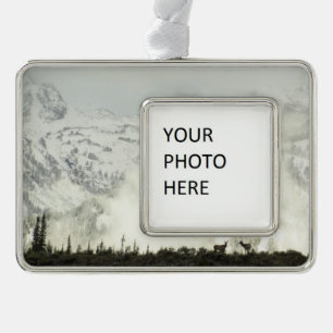 Elk at Grand Teton National Park Photography Silver Plated Framed Ornament