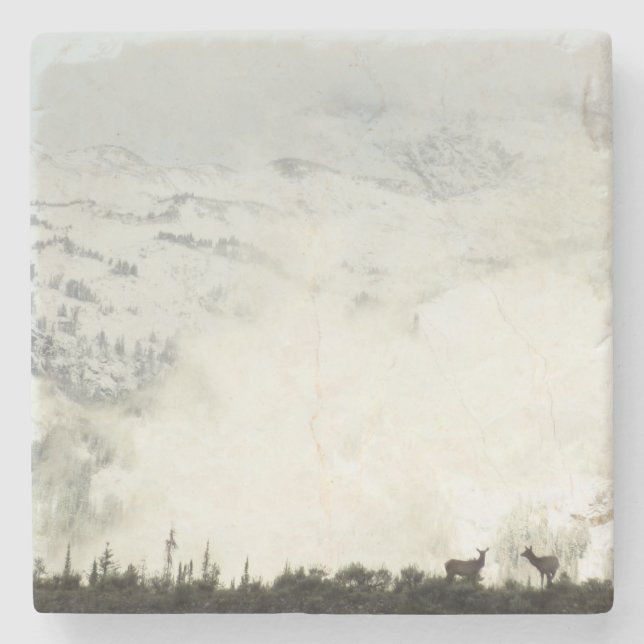 Elk at Grand Teton National Park Photography Stone Coaster (Front)
