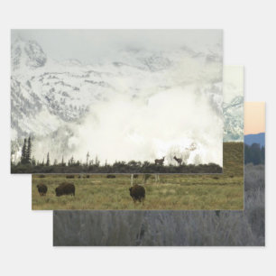 Elk at Grand Teton National Park Photography Wrapping Paper Sheet