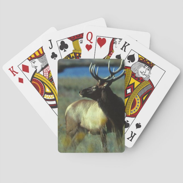 Elk Bicycle Playing Cards (Back)