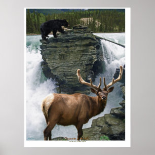 Elk & Black Bears Wildlife Art Poster