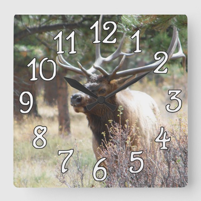 Elk Bull Buck Deer Mancave Wall Clock (Front)