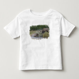 Elk Bulls fighting, Yellowstone NP, Wyoming Toddler T-Shirt