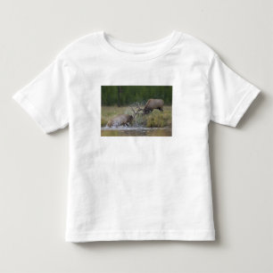 Elk Bulls fighting, Yellowstone NP, Wyoming Toddler T-Shirt
